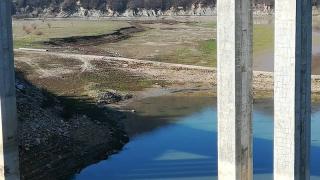 Такова чудо във Варненско не се е случвало от десетки години ВИДЕО 