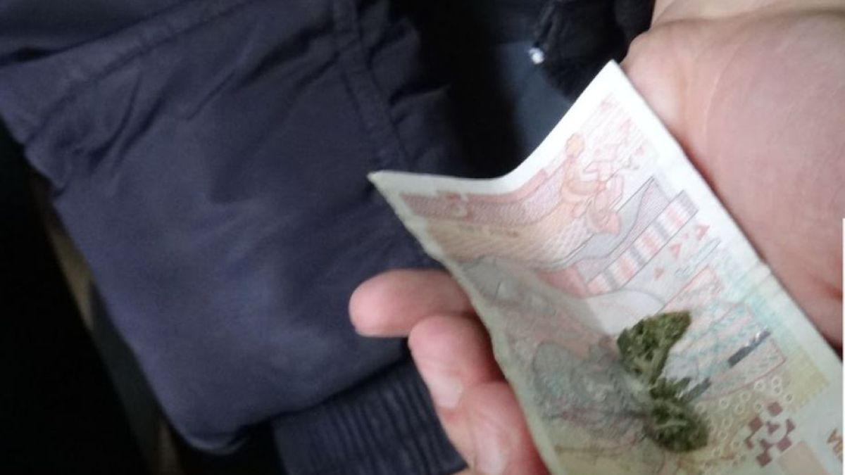 Престъпен бизнес за милиони завъртяха в Родопите 