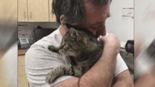 ВИДЕО запечата трогателната среща на котарак и собственика му след 7 години 