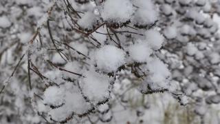 Ето защо снегът е бял при положение, че снежинките са прозрачни