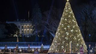 Мелания заблестя пред коледната елха във Вашингтон (СНИМКИ)