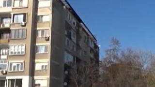 Пловдивчани пропищяха, тормози ги нощно заведение ВИДЕО