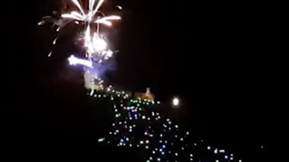 Най-голямата елха в света запалиха в Италия ВИДЕО