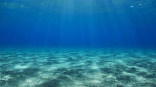 Учени откриха на дъното на океана хиляди загадъчни обекта 