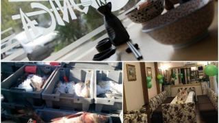 Данъчни удариха известен ресторант в Пловдив