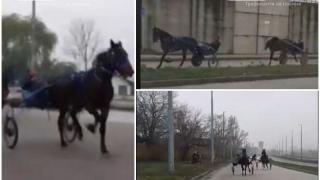 Бързи и яростни! Цигани от Столипиново в опасна надпревара с каруци ВИДЕО 