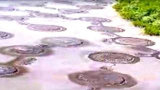 Странни кръгове се появиха на мистериозен мексикански остров ВИДЕО 