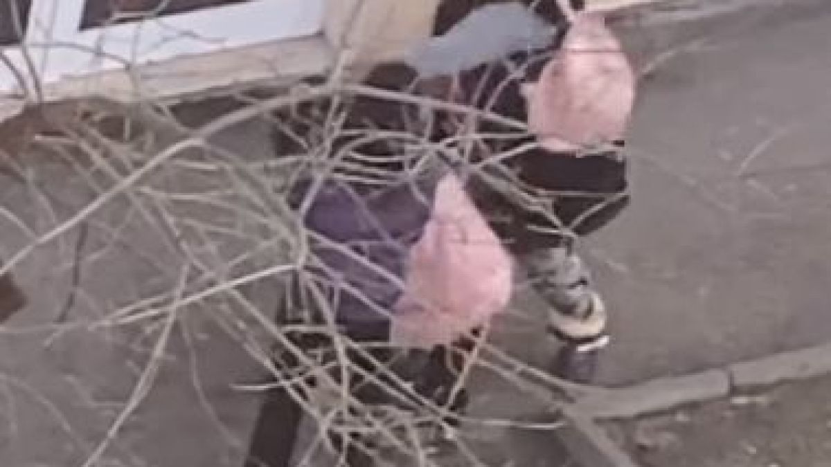 Ново безумие на циганка с малко дете взриви мрежата ВИДЕО