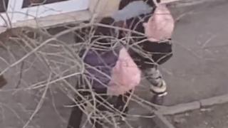 Ново безумие на циганка с малко дете взриви мрежата ВИДЕО