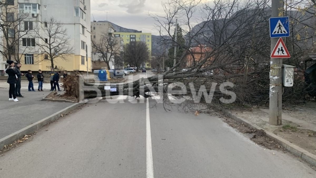 Бурята затвори улици във Враца, стълбове и дървета падат като круши СНИМКИ
