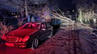 В София и Враца е като след война! Ето какво се случва СНИМКИ