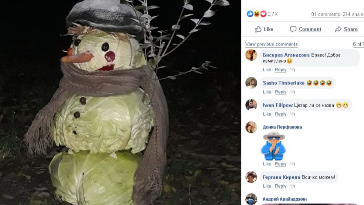 Никога не сте виждали такъв снежен човек, като този в Пловдив СНИМКА