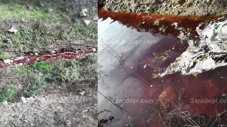 Кръв текна в Кърджалийско! Хората са в ужас ВИДЕО 18+