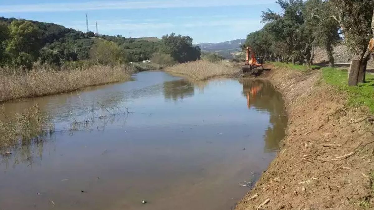 Труп, увит в одеяло и с белезници, изплува на брега на река
