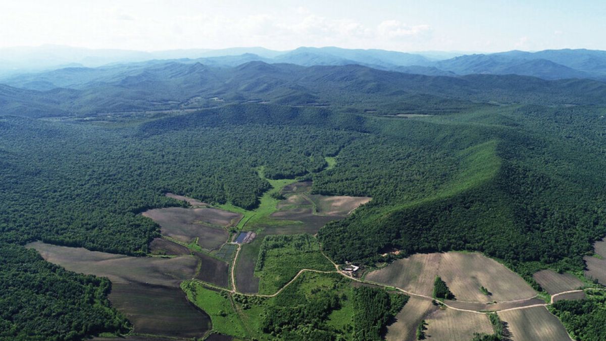 Учени откриха чудо невиждано в Китай