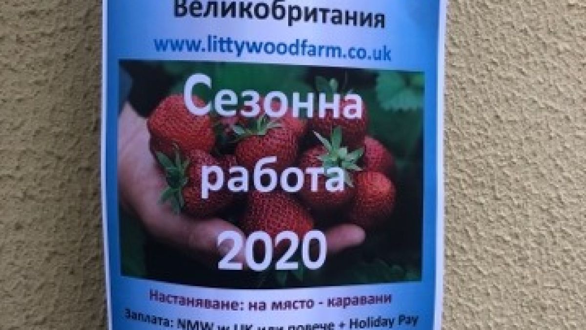 Мошеници заляха Гоце Делчев с примамлива оферта за работа в чужбина, но... 