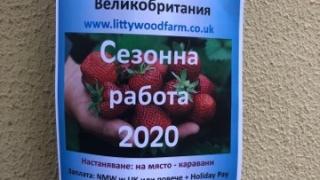Мошеници заляха Гоце Делчев с примамлива оферта за работа в чужбина, но... 