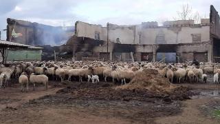 Зов за помощ след огнена стихия в Исперихово ВИДЕО