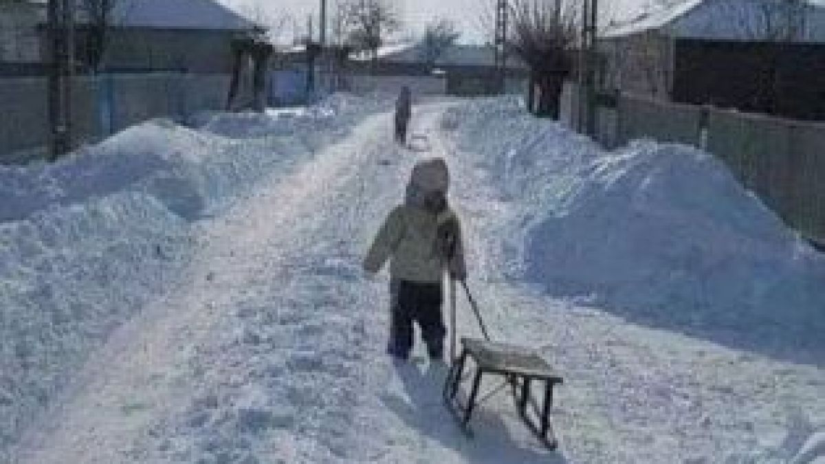 Сладки спомени: Зимата на моето детство, когато имаше много сняг 