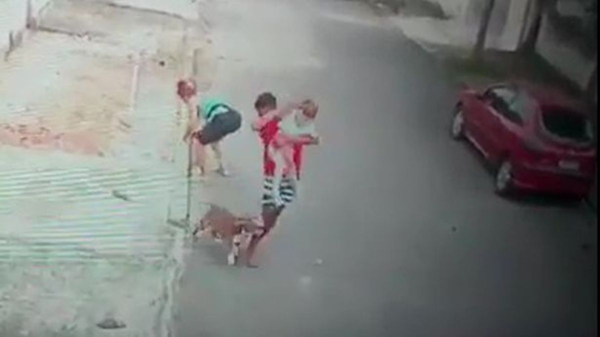 Млад мъж геройски спаси дете от зъбите на разярен питбул ВИДЕО
