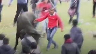 Ето как празнуват Нова година в Перу: традиция, която може да шокира ВИДЕО