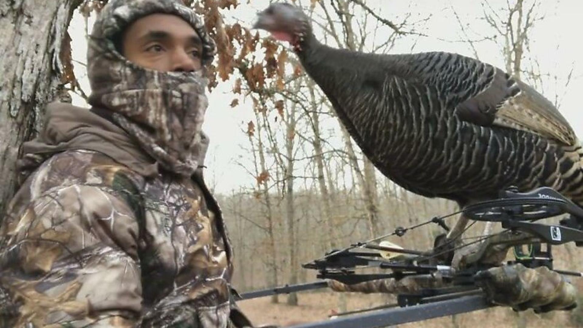 Пуйки разкриха дебнещ ловец ВИДЕО