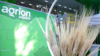 На сметка: Продажбата на земя през януари гарантира най-добра сделка