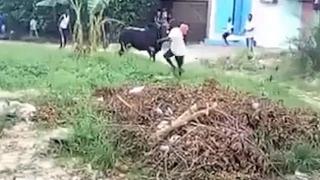 Подивяла крава се нахвърли върху тълпа зяпачи ВИДЕО
