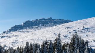 Извънредно: Установиха коя е жената, намерена мъртва на Витоша