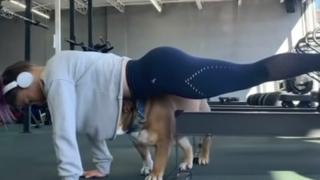 Любвеобилно куче смути своята собственичка ВИДЕО