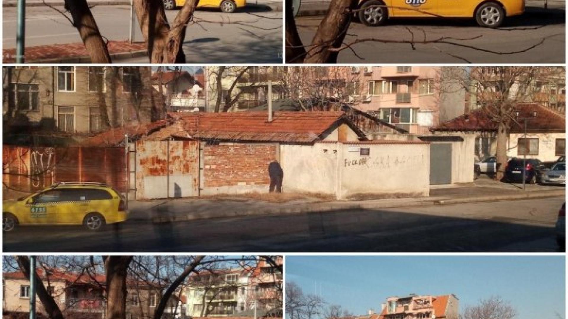 Бакшиши потресоха пловдивчани с гнусните си изпълнения СНИМКИ 