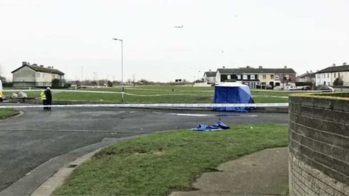 Какво се случва в Дъблин? Намериха нови останки от разчленен труп, подозират…
