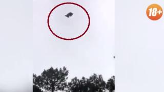Хвърлиха свиня от хеликоптер в басейна на милионер ВИДЕО 18+
