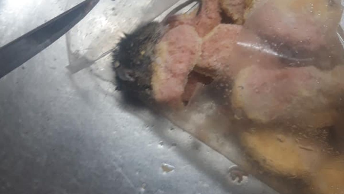 Софиянка купи пилешки хапки и припадна, когато видя това вътре! СНИМКИ