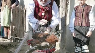 Красиви имена черпят днес, традицията повелява на трапезата във всеки дом да има...