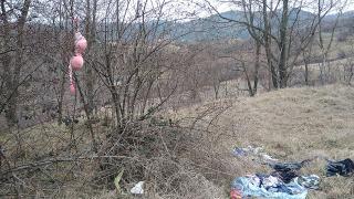 Храстите в Родопите могат да родят какво ли не, дори и сутиен СНИМКА 