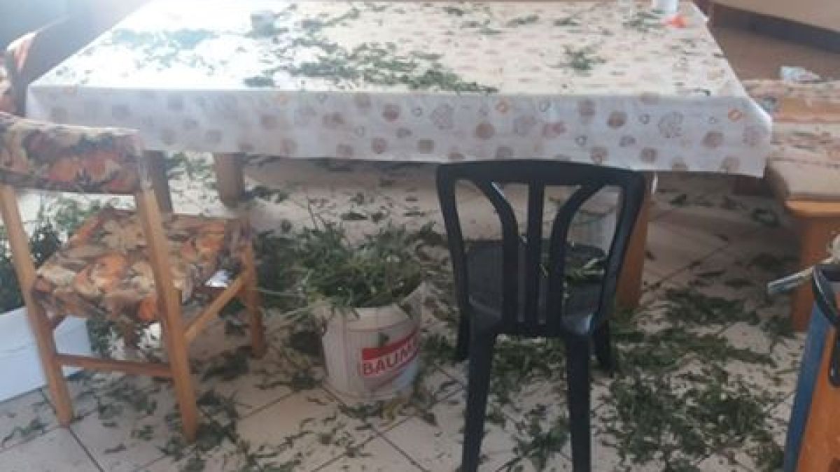 Какво очаква групата на Фараона, Ейпъла и Жабата, хваната с дрога за 150 бона СНИМКИ