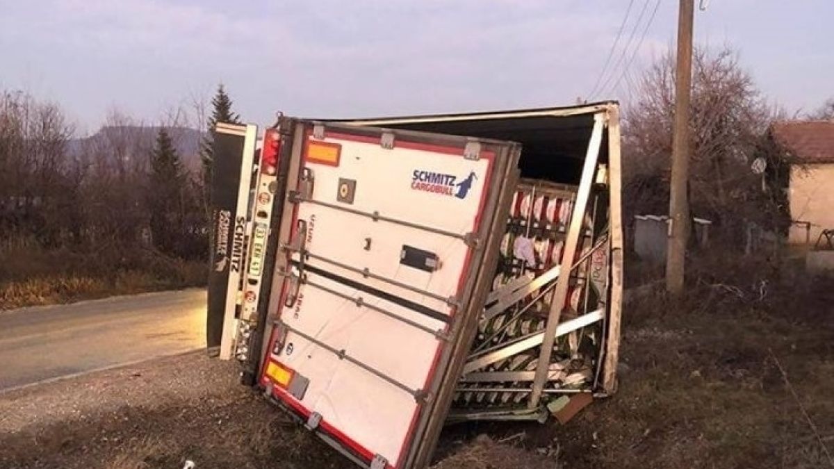 Циганско мародерство потресе Видинско