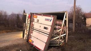 Циганско мародерство потресе Видинско