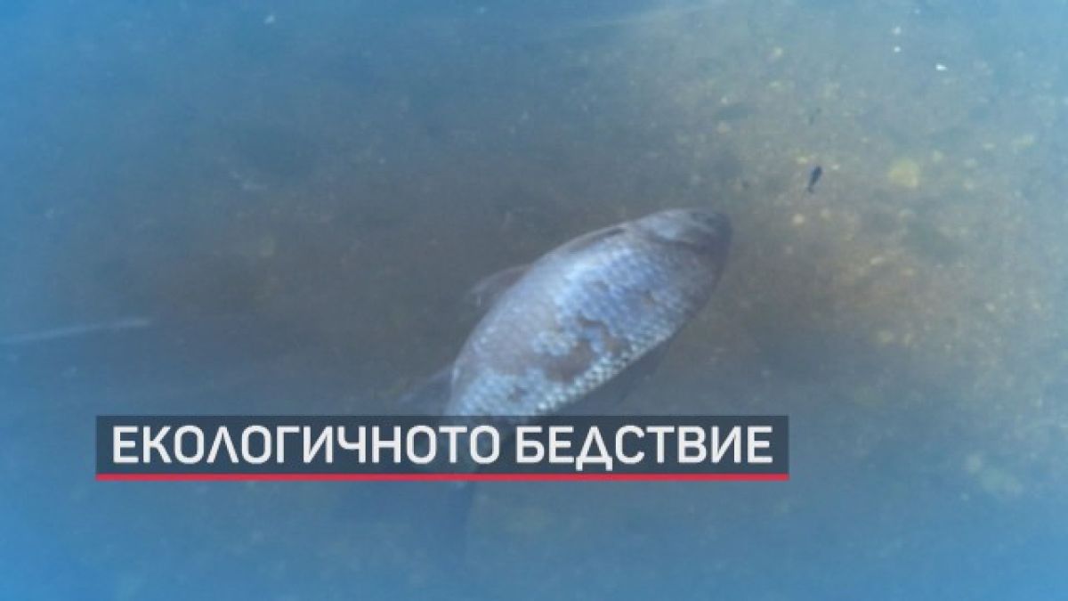 Ето я причината за екокатасрофата в Марица