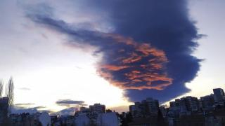 Зловещо торнадо преди пороя в София повали дървета и стресна мрежата СНИМКИ