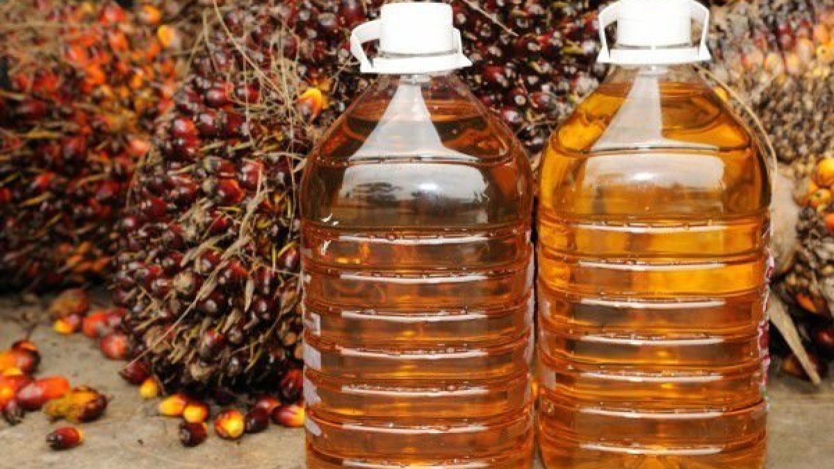 Ще ви стане лошо, когато научите кои продукти съдържат палмово масло