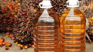 Ще ви стане лошо, когато научите кои продукти съдържат палмово масло