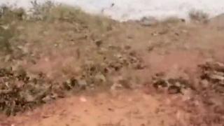 Става страшно! В Сомалия обявиха извънредно положение заради невижданата от 70 г. напаст