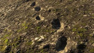 Учените определиха на кого принадлежат „следите на дявола“ СНИМКИ