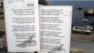Мрежата клокочи! Бетонояд изяде Тюленово СНИМКИ