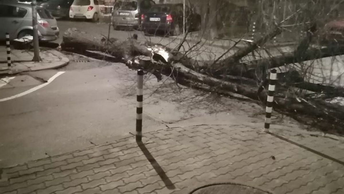 ‎Страшна буря фучи из София и прави куп бели! Във ВМА е направо опасно! Зрелищни СНИМКИ