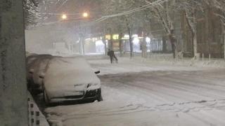 Снегът не можа да уплаши този русенец, който в ранни зори... СНИМКИ 
