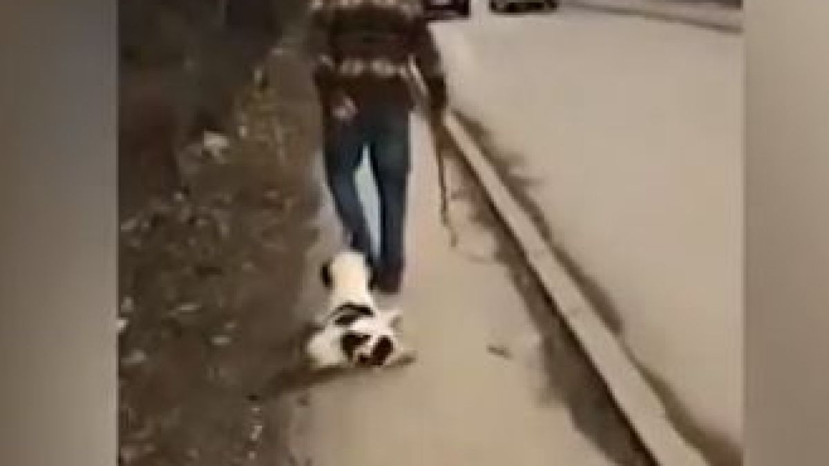 Положението в столичния квартал „Дървеница” е нетърпимо! ВИДЕО 18+
