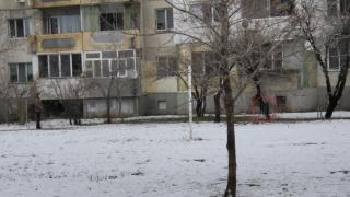 Паника в пловдивски квартал! Опасен звяр стряска деца и родители СНИМКИ